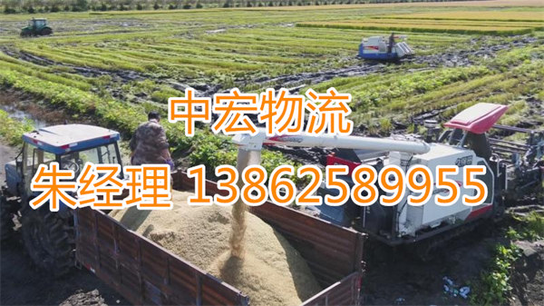 苏州到阿里改则县物流公司-苏州到阿里改则县货运公司-苏州到阿里改则县专线货运部